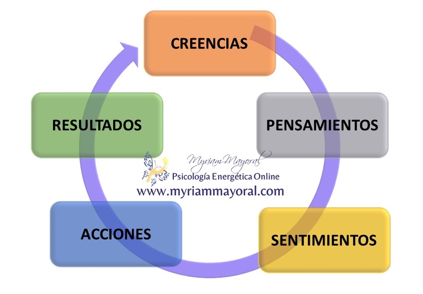 transforma tu vida