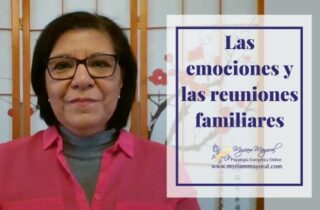 Las emociones y las reuniones familiares